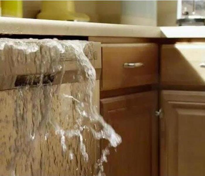 Residential Water Damage Specialists